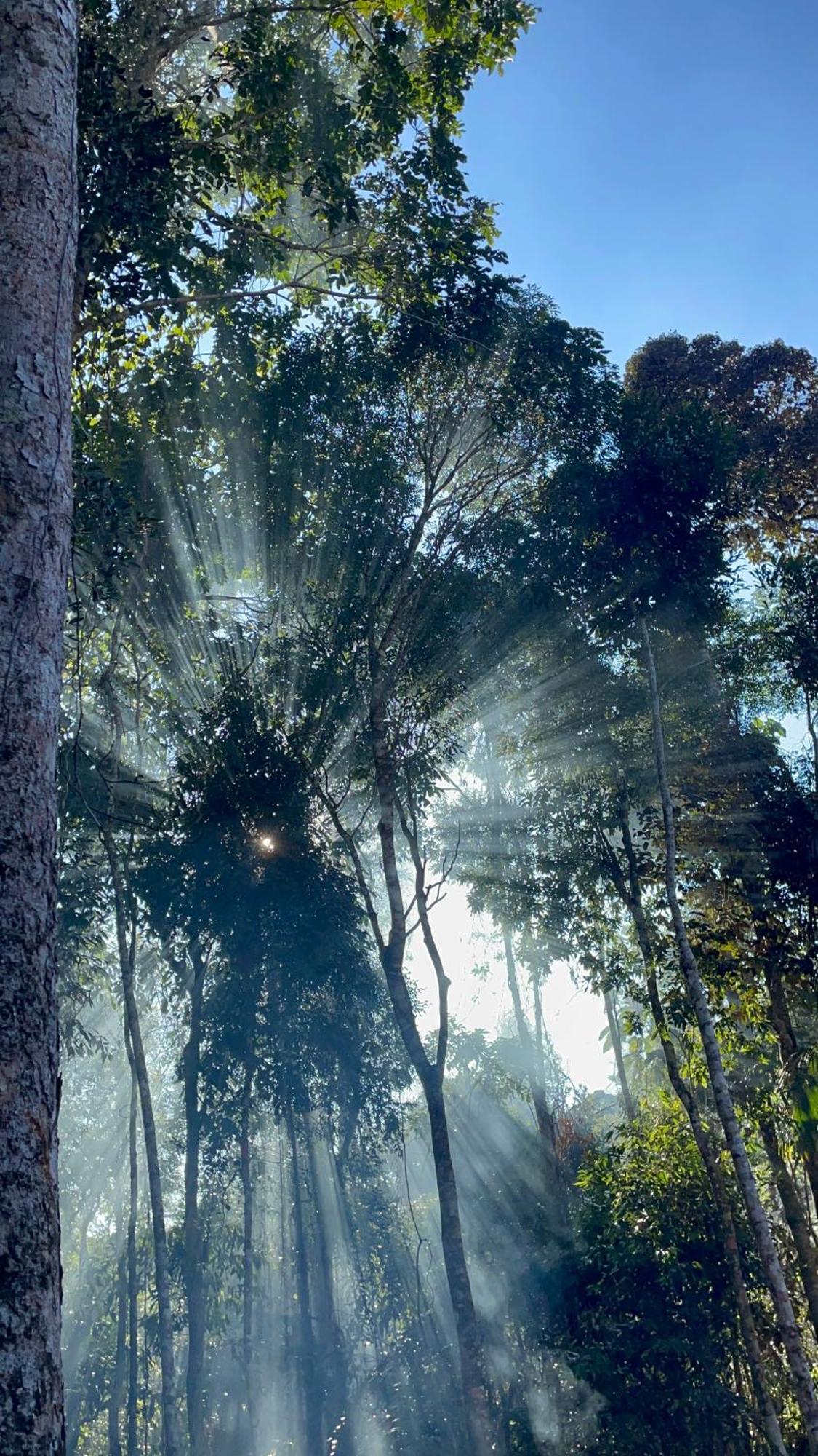 Caracol Chacara Completa Privativa Para Casal E Familia Marechal Floriano Dış mekan fotoğraf